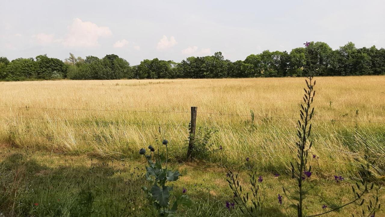 Biesboschbest Werkendam Exterior photo